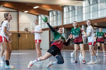 Bild 120 - F HSG Kremperheide/Muensterdorf - Slesvig IF 2 : Ergebnis: 30:26